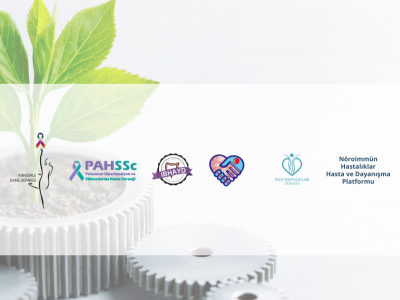 Mentoring Process for Patient Associations