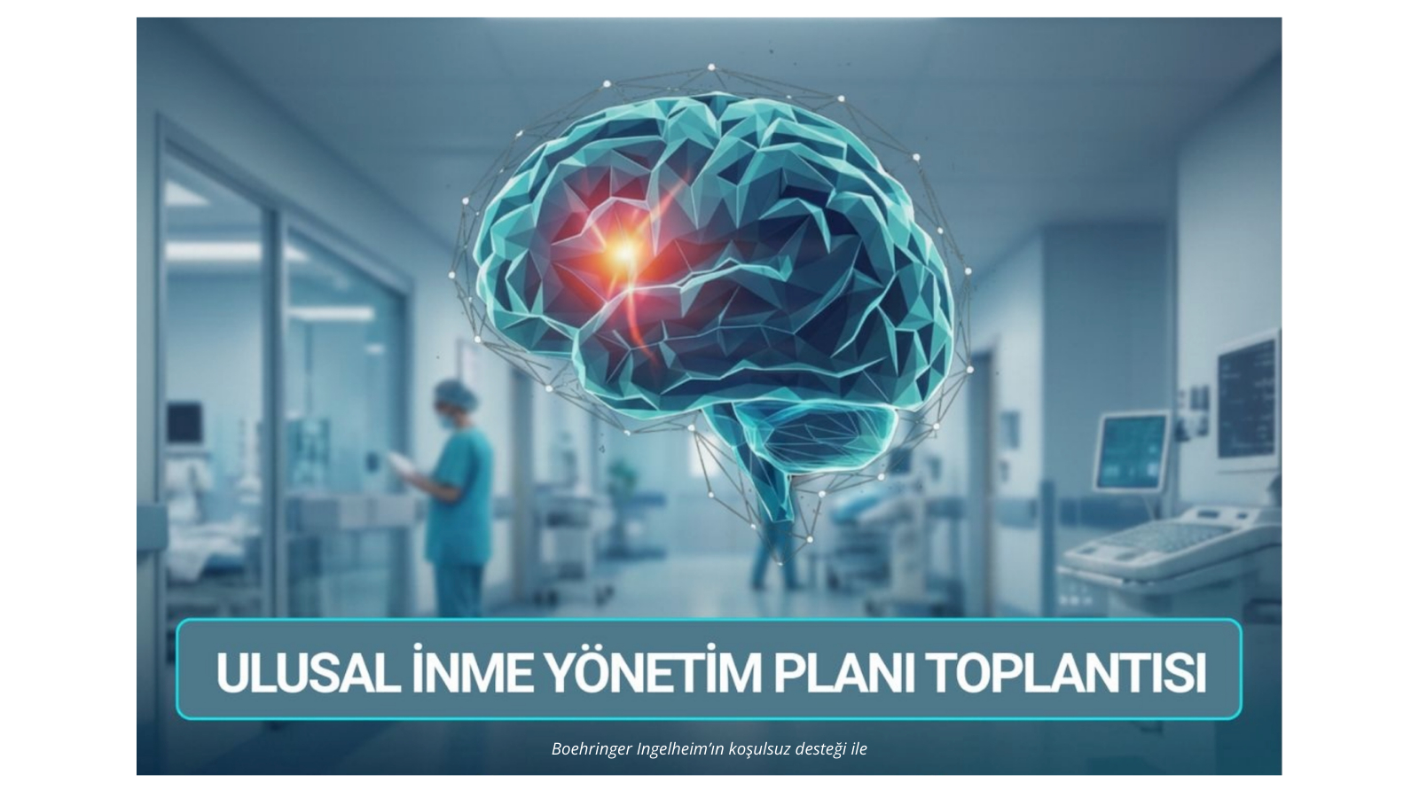 Ulusal İnme Yönetim Planı Toplantısı