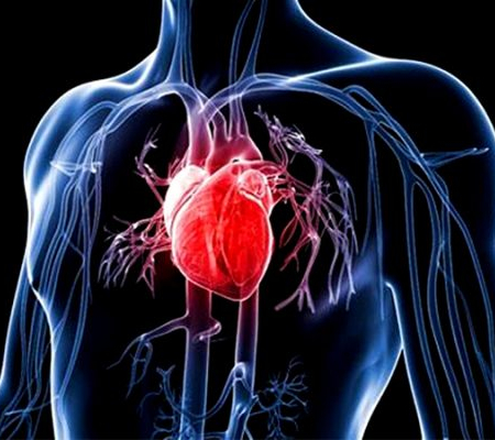 Kalp Çarpıntısı (Aritmi) Nedir?